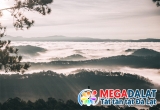 Top++ Tour săn mây Đà Lạt trọn gói siêu rẻ tại Megatravel